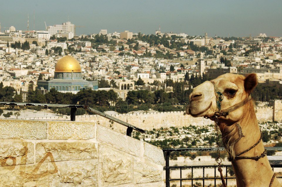 Панорама Єрусалима з Оливної Гори