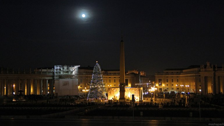 На Рождество площадь Святого Петра украсят елка из Италии и ясли с Мальты - фото 1