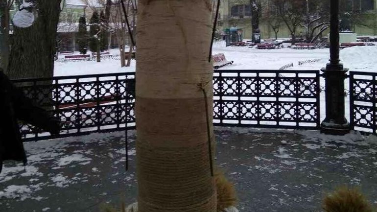 В центре Одессы неизвестные разрушили 3-метрового рождественского дидуха - фото 1