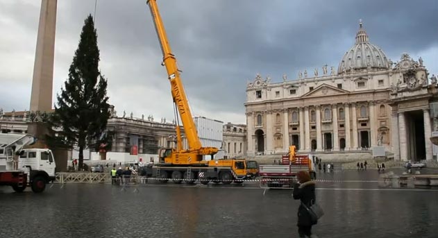 Украинская елка в Ватикане признана самой красивой за последние 20 лет
