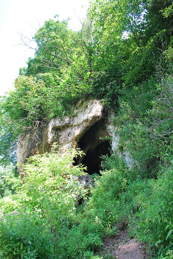 Вхід до скельного храму біля села Стінка