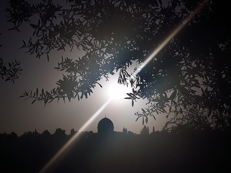 Погляд на старий Єрусалим з Оливної гори