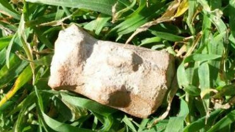 В Ізраїлі серед сміття виявлена ​​скульптура часів Першого Храму - фото 1