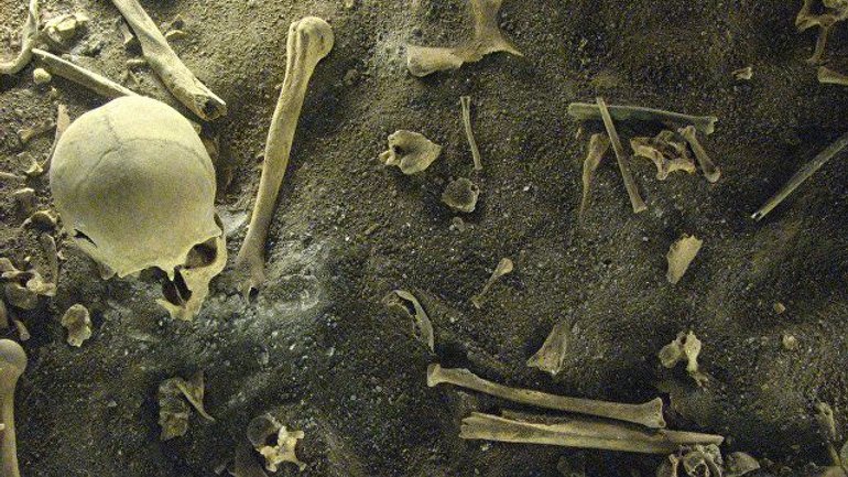 Археологи нашли скелеты, которые стали подтверждением страшного древнего ритуала - фото 1