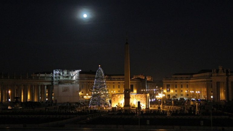 В этом году Рождественскую елку в Ватикан доставят из Польши - фото 1