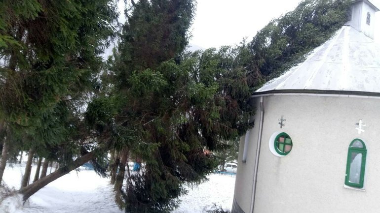На Закарпатті дерево впало на храм УПЦ (МП) - фото 1