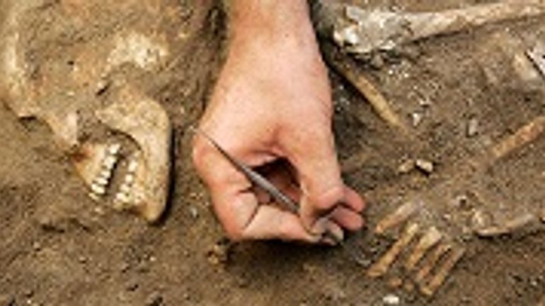Археологи в Израиле ошеломлены открытием нетронутой погребальной камеры в Мегиддо - фото 1