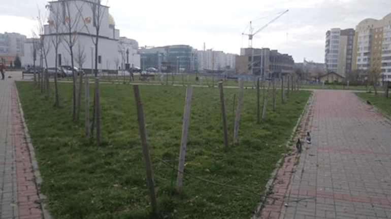 Вандали зламали 32 дерева у парку Івана Павла II у Львові - фото 1