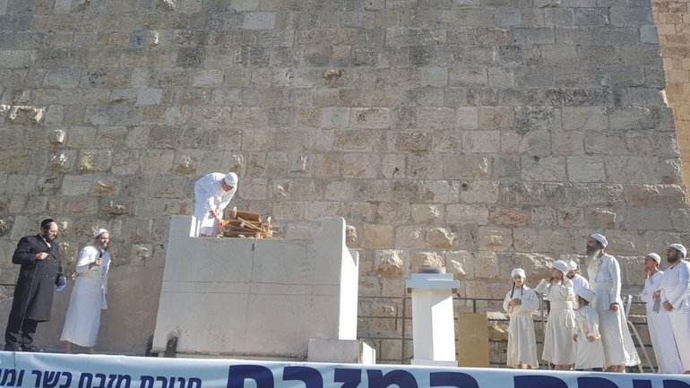 Впервые за 2000 лет ягненок Песаха может быть принесен в жертву на Храмовой горе - фото 1