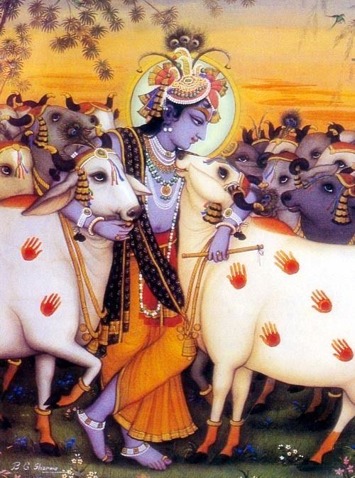Крішна з коровами. Б.Ґ.Шарма (1924-2007) - фото 119668
